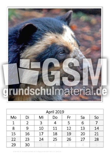 April_Brillenbär.pdf